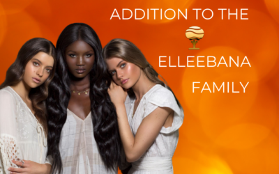 Introducing Elleebana Flex Rods