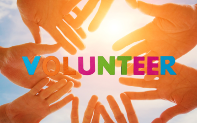 Volunteer Experience